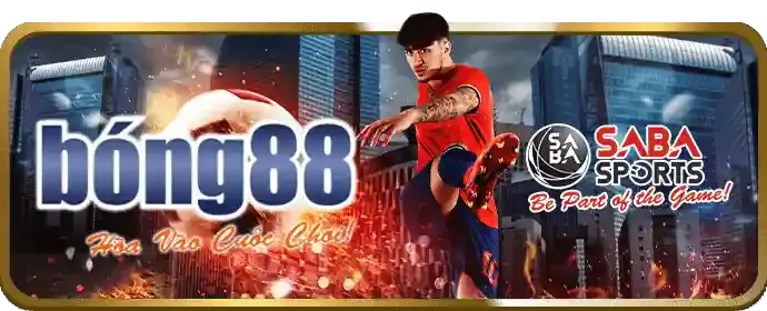Hoàn Trả Siêu Cao